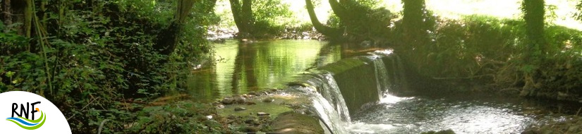 Reserva natural fluvial Cabecera del río Cibea y Arroyo de la Serratina