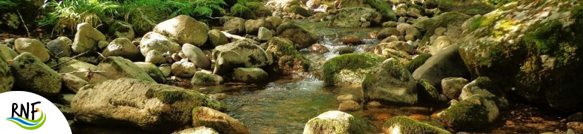 Reserva natural fluvial Nacimiento del río Nansa