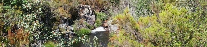 Reserva natural fluvial del río Jaramilla