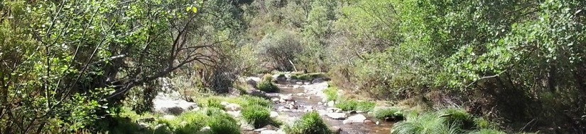 Reserva natural fluvial del río Jarama