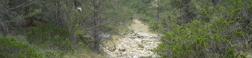 Reserva natural fluvial del río Sarguilla