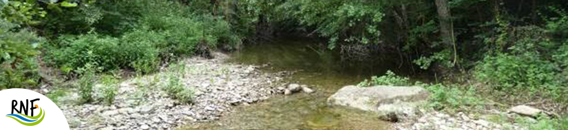 Reserva Natural Fluvial Río Fornés 