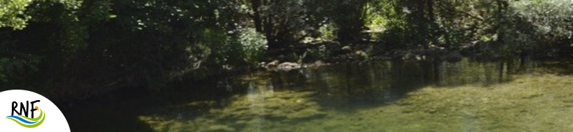 Reserva Natural Fluvial Cabecera de la Glorieta 