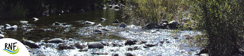 Reserva Natural Fluvial Alto Guadalmansa