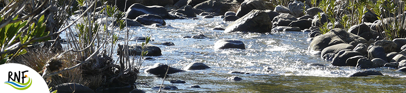 Reserva Natural Fluvial Alto Hozgarganta