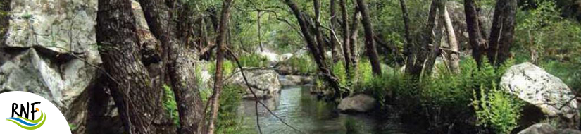 Reserva Natural Fluvial Raudal