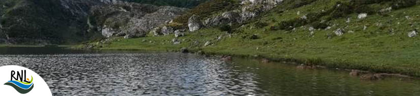 Complejo Lagos de Covadonga- Lago de La Ercina