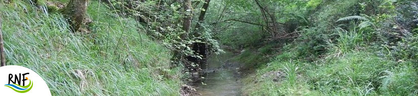 Reserva natural fluvial Arantzazu