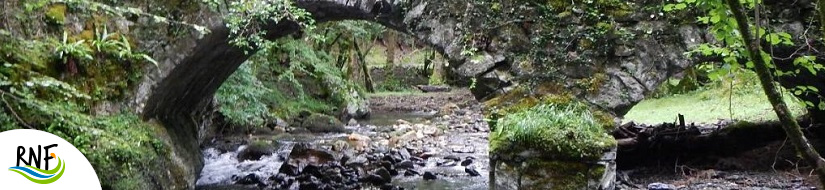 Reserva natural fluvial de la Cabecera del río Añarbe