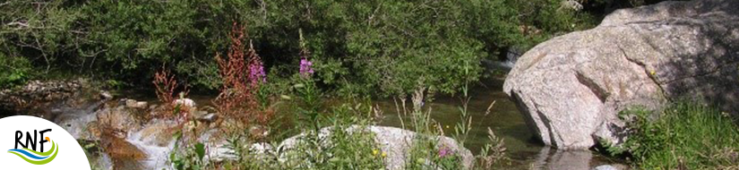 Reserva Natural Fluvial Cabecera del Ter 