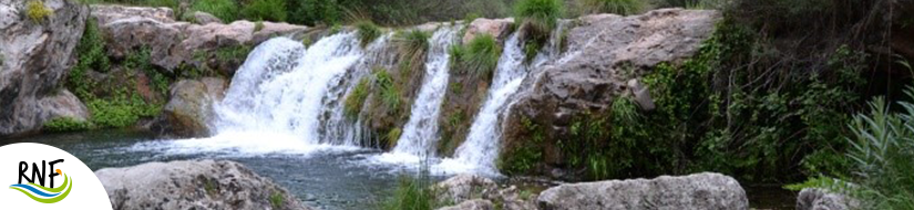 Reserva Natural Fluvial Río Brugent 