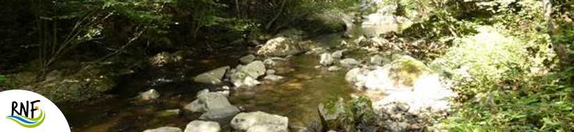 Reserva Natural Fluvial Tramo Medio de la Riera de Osor 