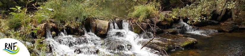 Reserva Natural Fluvial Alto Duerna