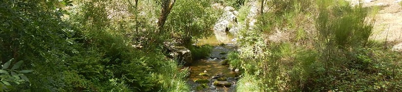 Reserva Natural Fluvial Río Gatón desde su nacimiento hasta su entrada en el embalse de Mansilla