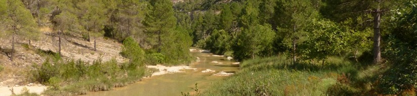 Reserva Natural Fluvial Río Ulldemó en cabecera
