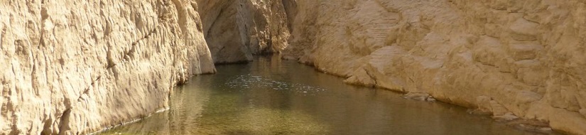 Reserva natural fluvial Río Guadalentín