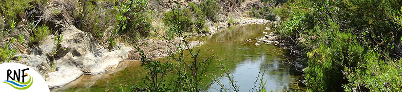 Reserva natural fluvial río Robledillo 