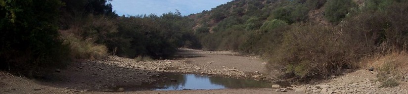 Reserva natural fluvial Rivera Grande de la Golondrina