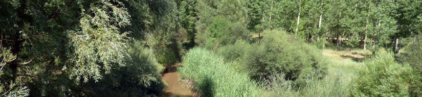 Reserva natural fluvial del río Alfambra