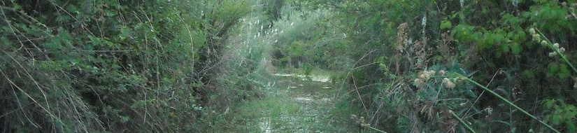 Reserva natural fluvial del arroyo Ompolveda