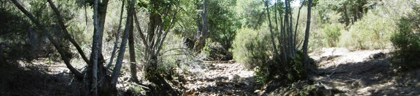 Reserva natural fluvial del río Mesto