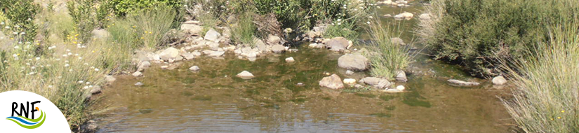 Reserva Natural Fluvial Rivera del Coladero