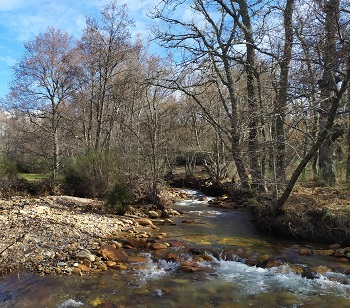 RNF del Río Negro y afluentes