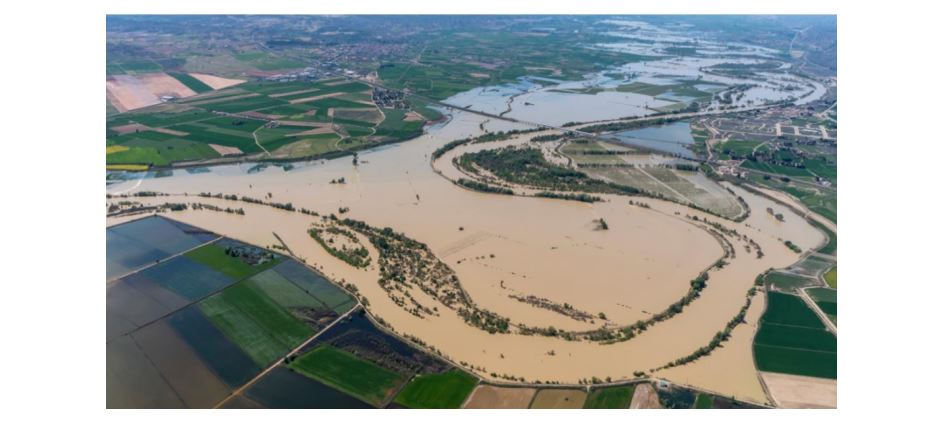 LIFE Ebro Resilience Fase 2