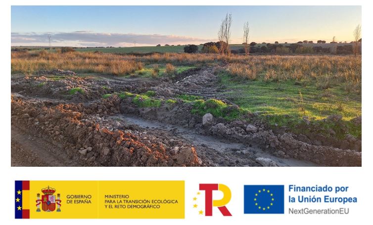 Proyecto recuperacion Arroyo Albarregas