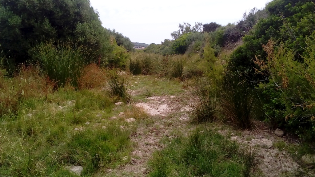 Reserva Natural Fluvial Torrent de Binimel·là