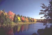 Vista de un río en otoño