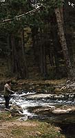 Pescador en un tramo alto de un río