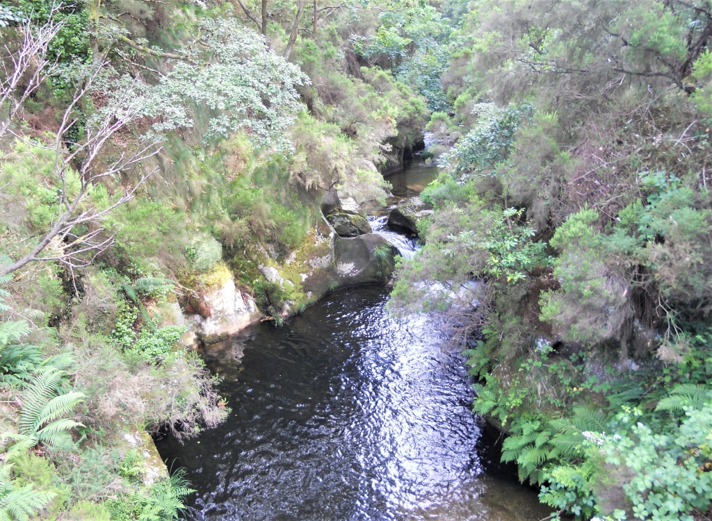 Reserva Natural Fluvial del Río Ouro. Zona: Rego da Furna
