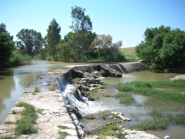 Plan-PIMA-2021-Guadaira-Azud-600 Plan-PIMA-2021-Guadaira-Azud-600