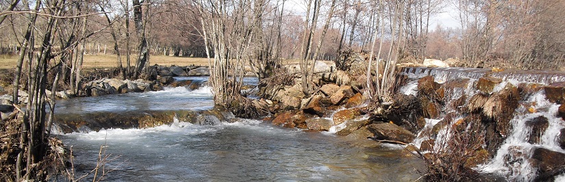 Escala de peces de Rosinos en el río Negro, Zamora