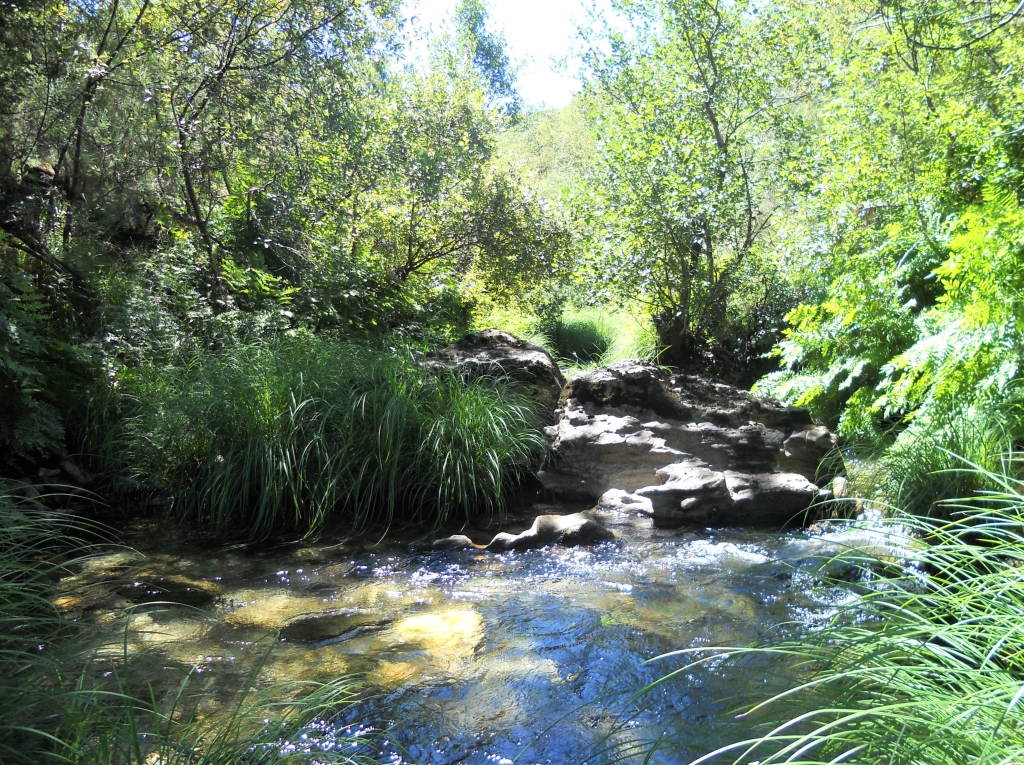 Reserva Natural Fluvial del Río Ulla-Deza. Zona: Río Asneiro