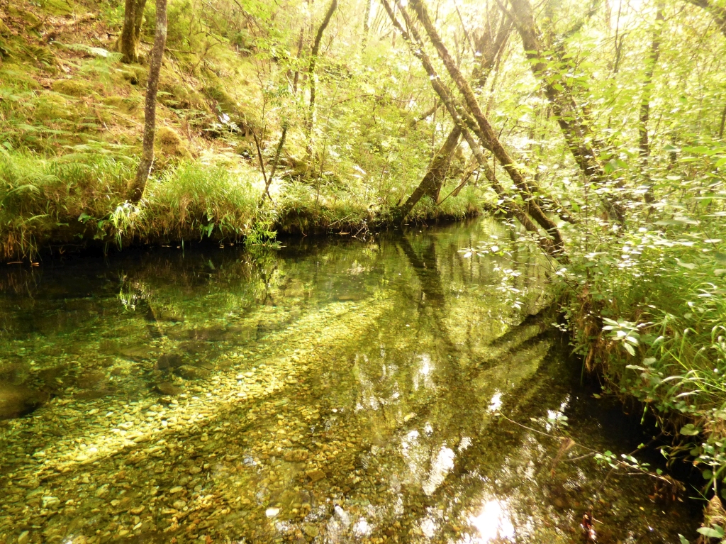 Reserva Natural Fluvial del Río Ulla-Deza. Zona: Río Grovas