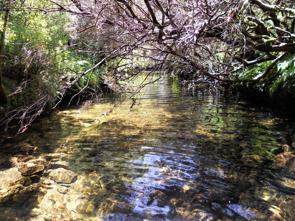 Reserva Natural Fluvial del Río Parada de Valdohome. Zona: Parada de Valdohome