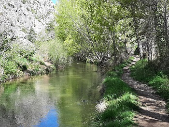 Reserva natural fluvial del río Guadalaviar