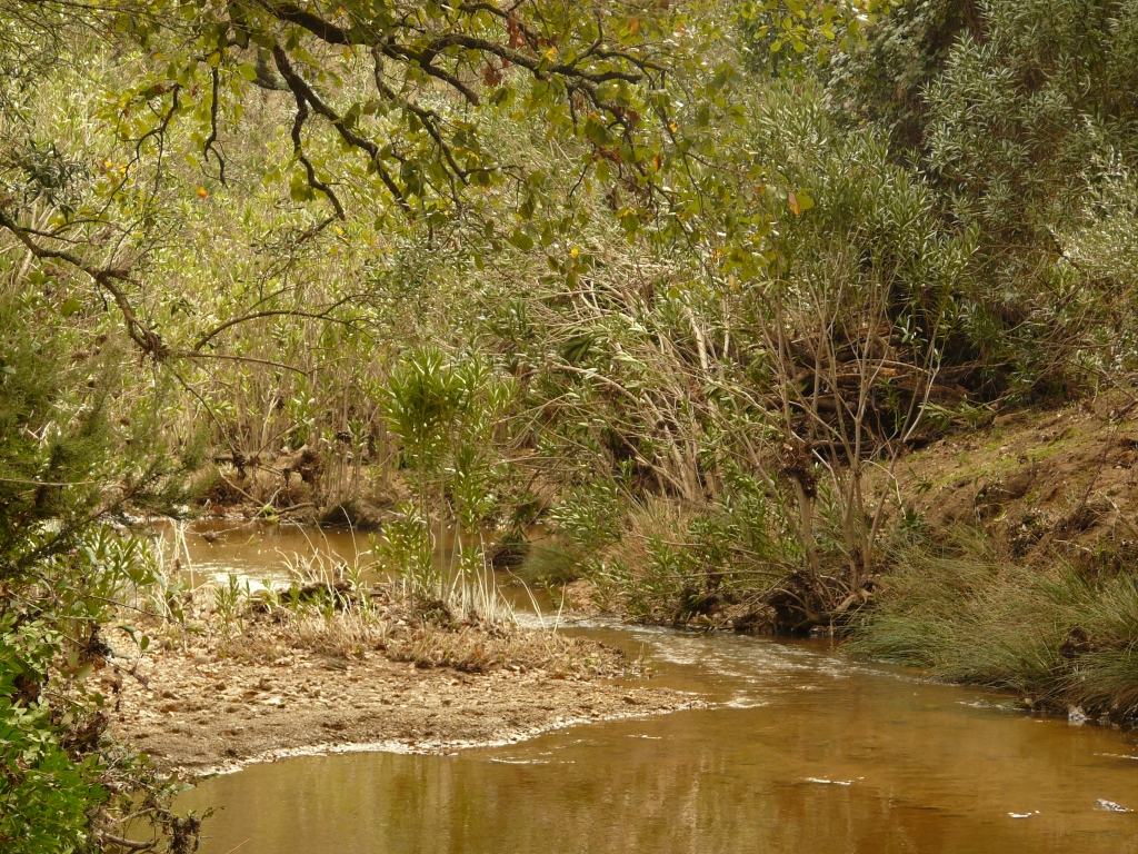 Reserva Natural Fluvial Los Codos