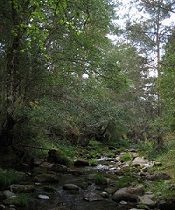 Estado y calidad de las Aguas superficiales