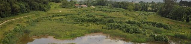 Creación de un humedal asociado al río Piles para contribuir a laminar avenidas aguas arriba de la población de Gijón (Asturias)