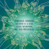 Día Mundial de los Humedales