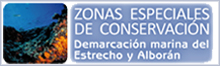 Zonas Especiales de Conservación (ZEC) en la Demarcación del Estrecho y Alborán (“Fauna – fondos de Alborán” Foto: G. Villami)