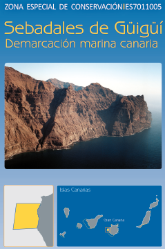 Imagen Zona ZEC Demarcación Canaria