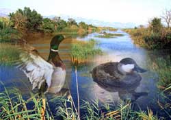 Fotografía de dos patos en un río con vegetación