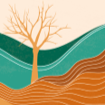 Desertificación