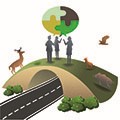 Grupo de Trabajo