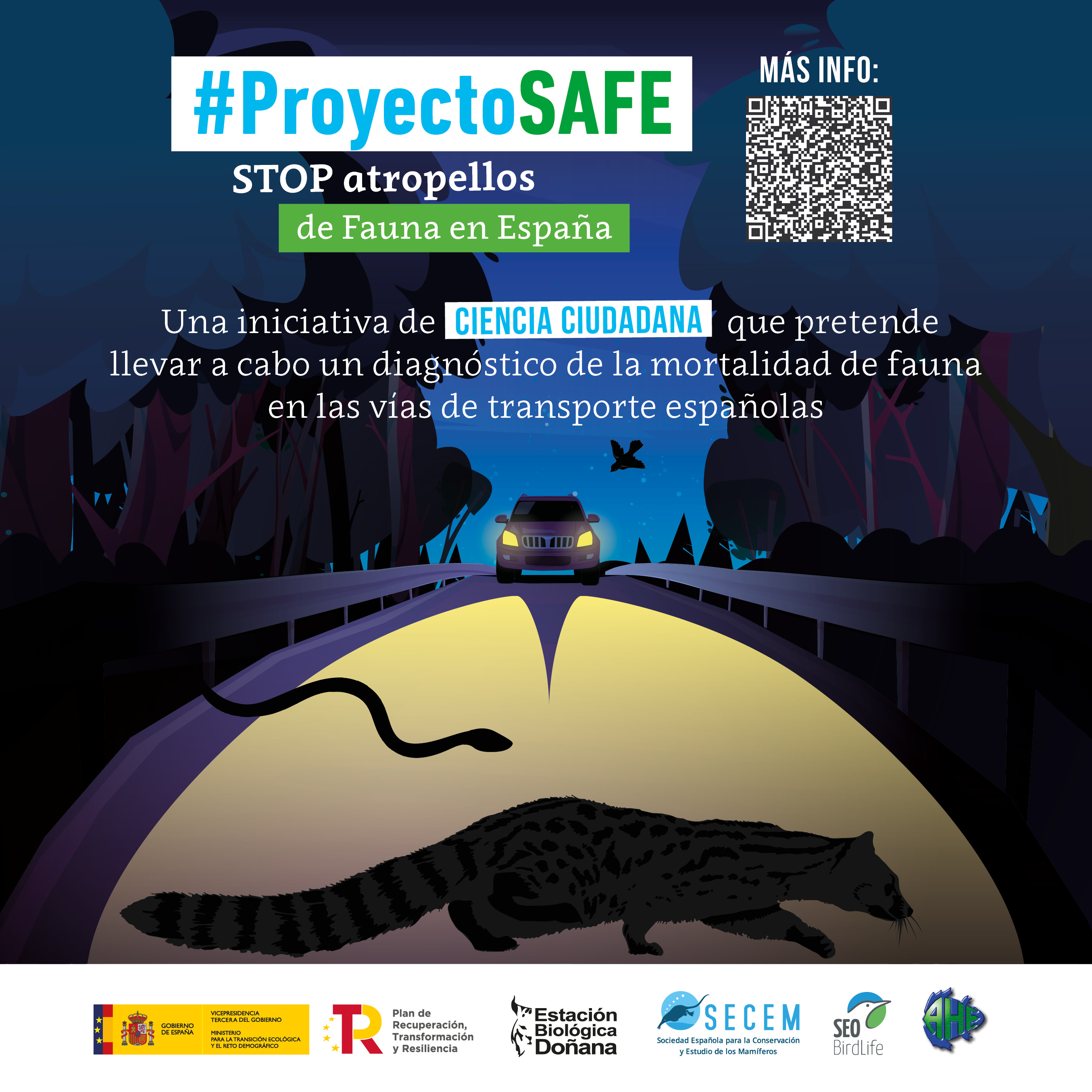 Redes Sociales: Proyecto SAFE