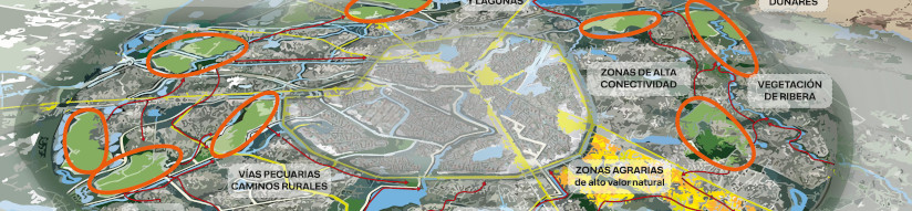 El MITECO genera materiales de difusión de la infraestructura verde en España